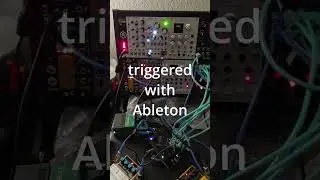 Cursible + Intrfx 2 = Eurorack + Guitar Pedal breakcore