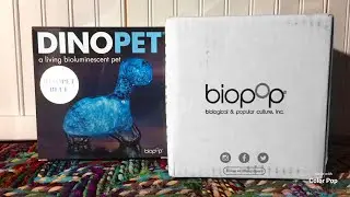 DINOPET Setting Up and Unboxing