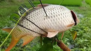 Old Traditional Fishing Technique | Primitive Fishing