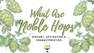 What are Noble Hops and 