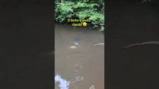Pescaria na Amaz&ocirc;nia.
