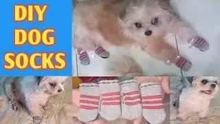 DIY DOG SOCKS FROM HUMAN SOCKS / EASY DIY