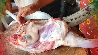 Fastest Mutton Cutting Videos | Fresh Goat's Meat Cutting Skills New Video | @cuttingstore