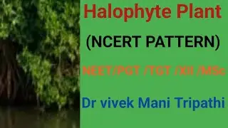 Halophyte plant || Plant adaptation || Halophytes