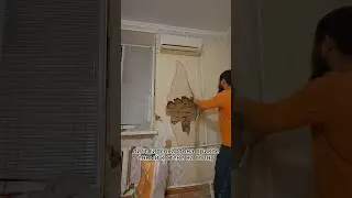 Бюджетный ремонт в сталинке своими руками. День 1 #ремонт #вседляремонта #недвижимость #квартира