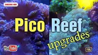 Pico upgrades @hcaquaticsreefing
