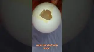 How to make beautiful candel with egg shell and candel wax