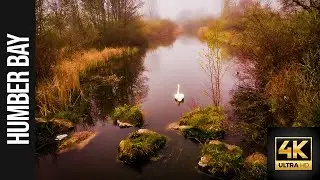 CINEMATIC DAY IN THE MIST | TORONTO | CANADA 4K