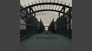 Not Forgotten