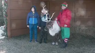 Summerfield Zoo's Christmas Town event draws families with festive activities