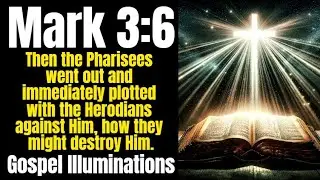 Mark 3:6 Explained &ndash; Why Did the Pharisees Plot Against Jesus?