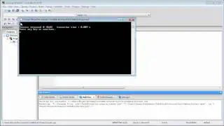 C++ Tutorial - 2 - Setting Up and Using Variables