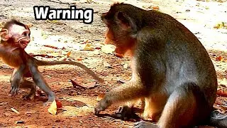 Pity Poor Baby Alba Cry Run Escape From Evil Mum Anna | Young Mum Anna Threat Alba Don't Give Milk