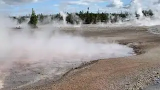 Noris Geyser Fumeroles in Yellowstone