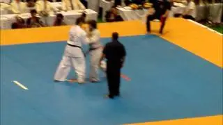 Kyokushin Karate 10th World Open Arata VS Tariel 2011.11.06