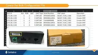 Using ONT Bulk Configuration