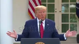 The Best President Trump Blames Violent Protests On &lsquo;Radical Left Bad People