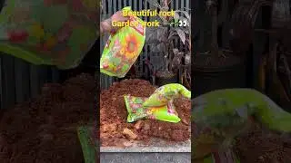 Beautiful rock garden work #rock garden #pebbles #youtubeshorts #letsgogreennursery #shorts 🪴👀🪨