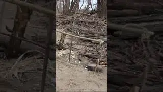 When You're Too Lazy  To Put A Log On The Fire #bushcraft #survival  #cooking