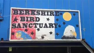About the Berkshire Bird Paradise Sanctuary- Petersburg, NY
