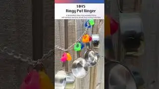 1045 Ringy Pot Ringer M&M Bird Toys Shortie 4k