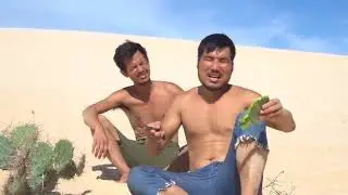 Primitive Technology   Bake giant ostrich eggs under the desert sunshine   Head Wilderness