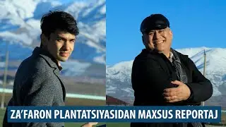 BMB TRADE GROUP ЛОЙИҲАЛАРИ: Заъфарон плантациясидан махсус репортаж