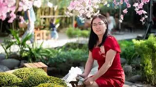 Mừng Xuân 2026