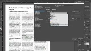 Paragraph Rules in InDesign