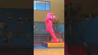 Hogs Breath Cafe Hogster | Front Flip off a Mini Tramp