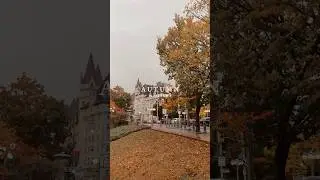 autumn in ottawa #fallfoliage#autumn#fall#shorts#youtube#reels#explore#travel#vlog#canada#ontario