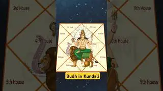 Budh in Kundali #shorts #astroparam #astrology #kundali #kundalianalysis
