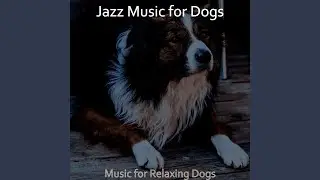 Relaxing Music for Training Your Dog