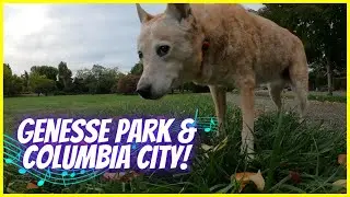 Walking Seattle's Genesse Park, Lake Washington Blvd. & Columbia City Neighborhood Relaxing Music