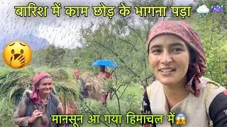 बारिश में खेत का काम छोड़ कर भागना पड़ा 🌧️☔️ || Monsoon || Pahadi lifestyle vlog || Girl from North