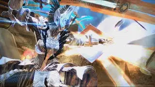 Vindictus: Paladin Fiona vs. Shining Shakarr