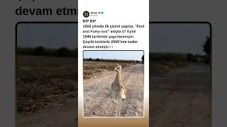 bir neslin &ccedil;izgi film karakteri Road Runner (Fast and Furry-ous)