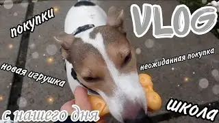 ВЛОГ С НАШЕГО ДНЯ| неожиданная покупка, школа | VLOG FROM OUR DAY | unexpected purchase, school
