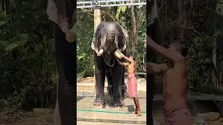 akkikavu karthikeyan 😍