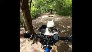 Our first mountain bike adventure! 😸⛰️🚵&zwj;♀️
