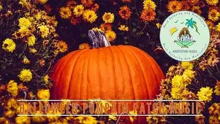Halloween Pumpkin Patch Music| Autumn Ambience, Fall Colors, Relaxing Music