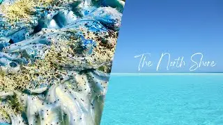 The North Shore | Remake | Best Seller | BubbleHunter Soaps | 1st soap of the year