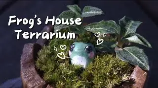 3D 프린터로 개구리 집 테라리움 만들기 Frog's House Terrarium with 3D Printing