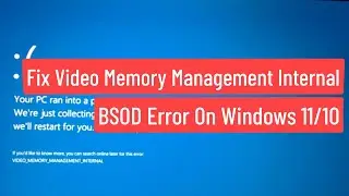 Fix Video Memory Management Internal Blue Screen Error On Windows 11/10