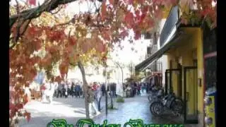 Autunno Silano . Fungo in festa a Camigliatello Silano (Cosenza)