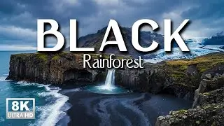 The Black Forest, Germany - River Dream with Relaxing Piano Music (The most mysterious in Germany)
