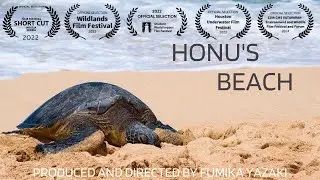 Honu's Beach