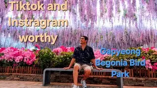 South Korea&rsquo;s Newest attraction, Gapyeong Begonia Bird Park