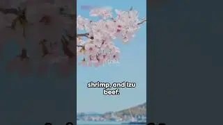Springtime Splendor: An Introduction to Izu, Japan