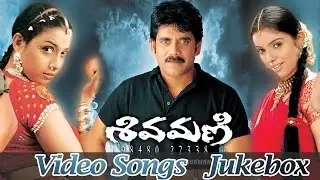 Shivamani Telugu Movie Video Songs Jukebox || Nagarjuna Akkineni, Asin, Rakshitha